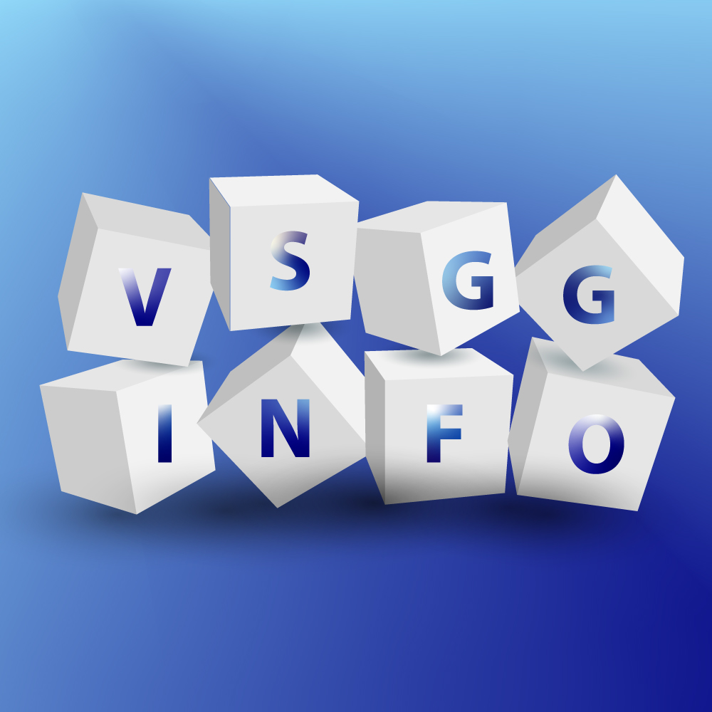 VSGG Info