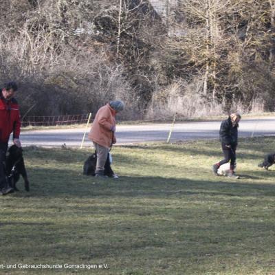 2023 03 23 Basis I 03