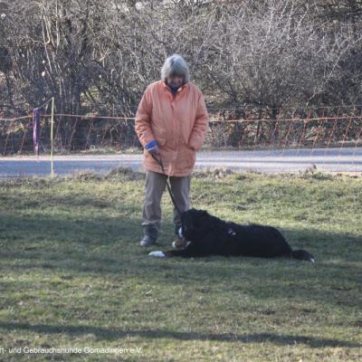 2023 03 23 Basis I 06